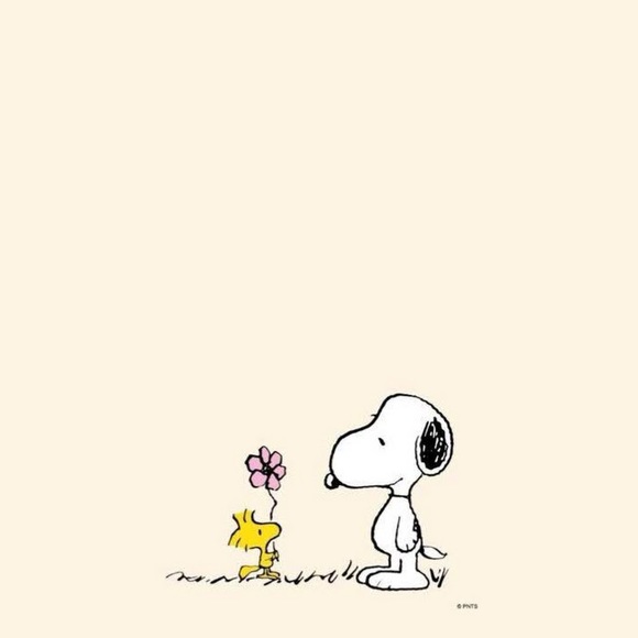 Meet your Posher, Dragon - Picture 1 of 1